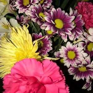 Meet your Posher, Krys